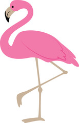 Naklejka premium A cartoon pink flamingo vector illustration.