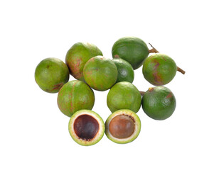 macadamia nuts on  transparent png