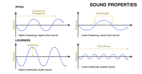 Types of sound, pitch vector illustration. Loudness, High frequency sounds. Sound waves and amplitudes. Science of sound. Volume and pitch. Frquency and vibration.  - obrazy, fototapety, plakaty