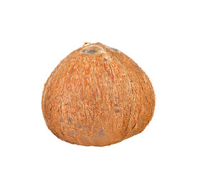 coconut  on    transparent png
