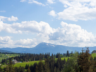 Carpathian landscape with cloudy sky. Green meadows in mountains near forest. Lifestyle in the Carpathian region. Ecology protection concept. Explore the beauty of the world.