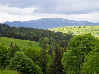 Fototapeta na wymiar Carpathian landscape with cloudy sky. Green meadows in mountains near forest. Lifestyle in the Carpathian region. Ecology protection concept. Explore the beauty of the world.