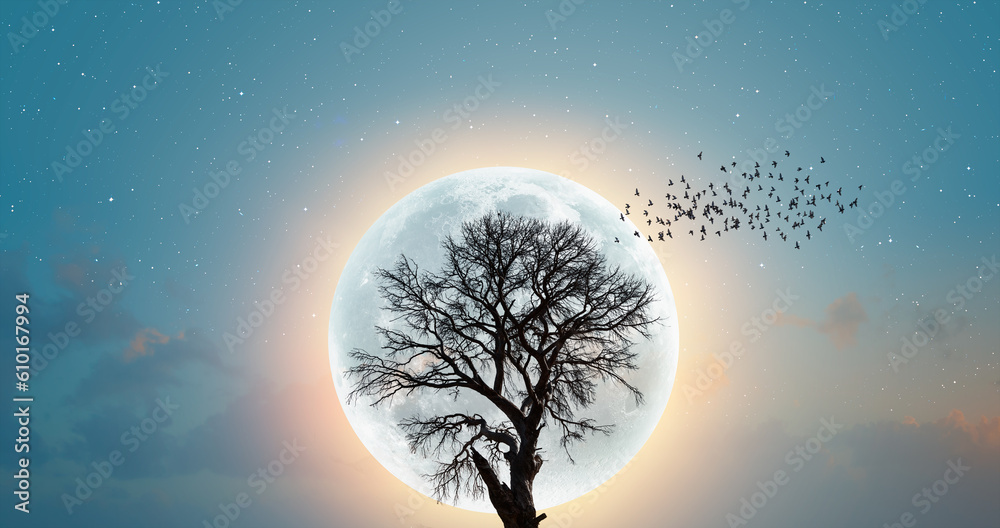 Aufkleber moon at it largest also called super moon 