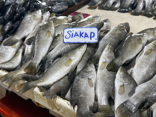 Variety of marine sea fish sold at Tawau Sabah wet fish market in morning