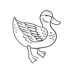 Standing monochrome duck. Vector line illustration pond bird isolated on white.