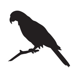 A silhouette of a parrot