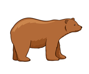 Fototapeta na wymiar Adult brown bear. Vector flat cartoon illustration isolated on white. Forest animal.