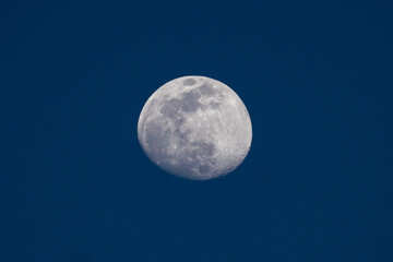 Gibbous day time moon