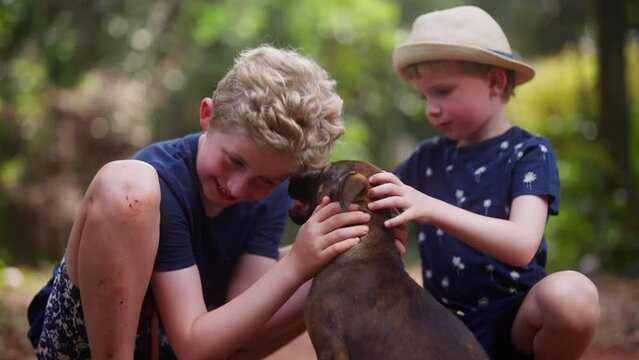 Boys Cuddling A Dog In Thailand