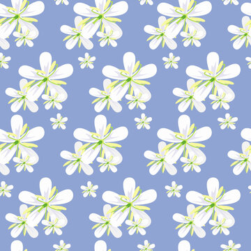 Elena photos, images, assets | Adobe Stock