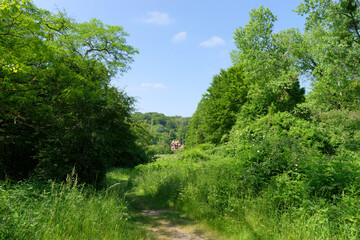 Fototapety na wymiar - Fototapeta24.pl