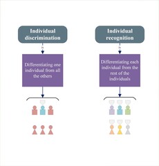 Individual discrimination versus individual recognition