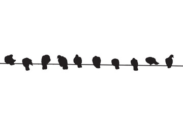 Silhouette of birds sitting on the wire. Silhouette of birds in different poses, vector. Unity and caring concept.