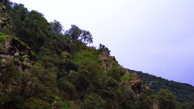 a tellian atlas mountain hill from chrea national park in blida