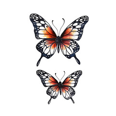 Plakat Assorted Butterfly Drawing Outline Aesthetic, Butterfly Vector Mix Color Unique Pattern, Butterfly Realistic Sketch Line art Hand Drawn 