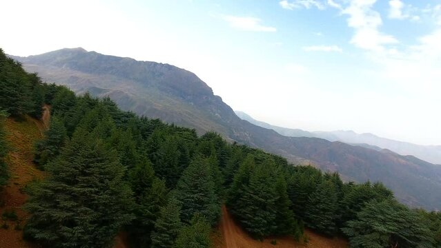 at the top of the babour mountain in setif