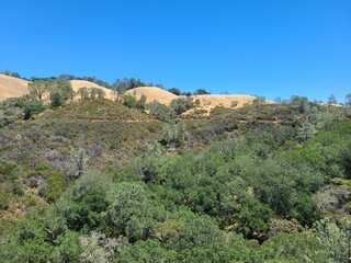 Fototapeta na wymiar The Wall Point trail in Mt Diablo State Park, California