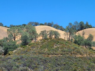 The Wall Point trail in Mt Diablo State Park, California