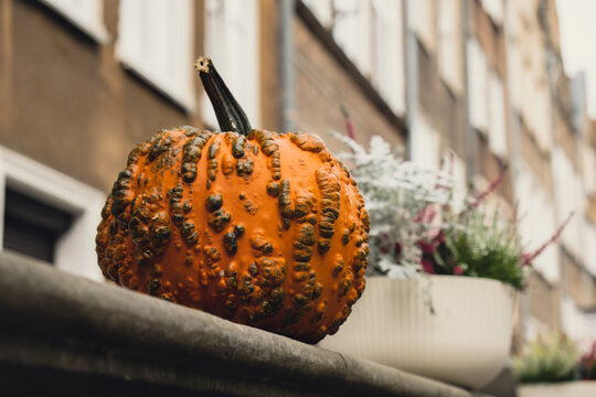 Pumpkins Rustic Hay Decoration Outdoors. Stylish Autumn Decor Of Exterior Building. Rural Decor On Haystack In Street. Autumn Fall Harvest Thanksgiving And Halloween Holiday Preparations. 