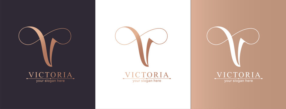 V and infinity logo. V letter logo template elements. personal monogram. Vector elegant logo.