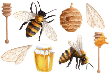 Bee and Honey set. Beekeeping. Honey jar, bees, mead, honeycomb, bee hive and wooden dipper spoon. LHand drawn illustration isolated on white background.
