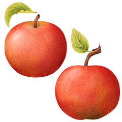 Set of beautiful juicy ripe red apple. Watercolor Isolated eco natural food fruit illustration: posters, wedding cards, summer banners, cover design templates, social media stories, spring wallpapers.