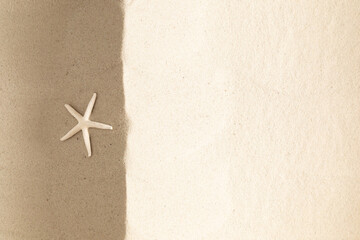 Fototapeta na wymiar Starfish on Beach Sand. Close up Beach sand texture. Beach sand texture in summer sun. 