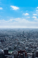 Building Forest in Tokyo