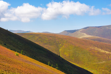 nature background with mountains. colorful scenery with hills and meadows. sunny day in early autumn. ukraine
