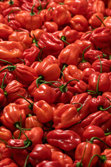 Lots of red habanero hot peppers. Background from red habaneros. Bunch of red peppers. Harvest of peppers. Mexican ripe hot pepper. Bright spice. Spicy food. Top view. 