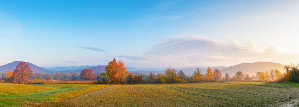 panorama of a carpathian rural landscape at sunrise. arable in front of a forest in colorful foliage. distant mountains in morning light. hazy autumnal atmosphere