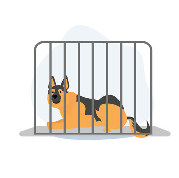  a dog in the cage. Pet shop or pet rescue center, dog help adoption shelter, puppy hotel . Flat vector cartoon illustration