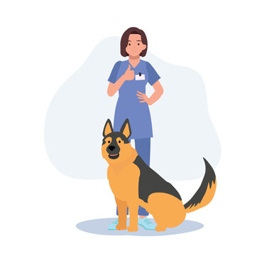 Full length of female Veterinarian with dogs. Profession veterinarian showing thumb up as good service. woman vet with dogs. Flat vector cartoon illustration