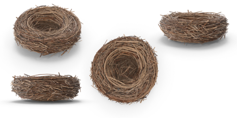 nest isolated on transparent background