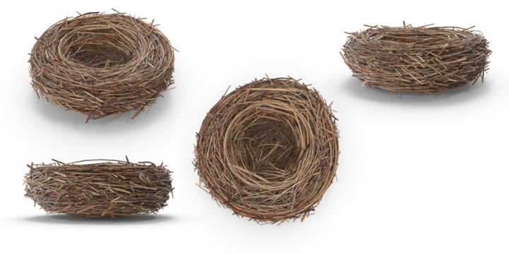 nest isolated on transparent background