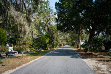 Tree-lined avenue in Bonaventure Cemetery in Savannah.