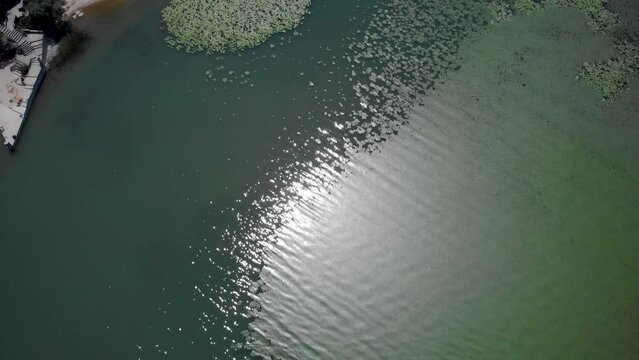 Emerald Green Water Of Shkodra Lake In Montenegro, Southern Europe. Aerial Topdown