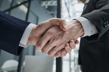 Portrait of elegant businessmen handshaking in conference hall