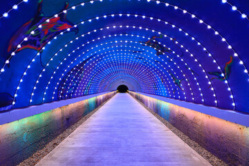 The beautiful and romantic Cijin Starry Sky Tunnel.  organized by the Kaohsiung City Government for...