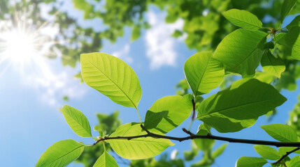Fototapeta na wymiar Green leaves of a tree against the blue sky. Generative AI