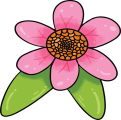 pink flower isolated on white background