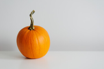 Single fresh orange miniature pumpkin on table