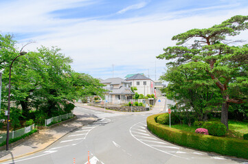 Fototapeta premium 聖蹟桜ヶ丘の街並み