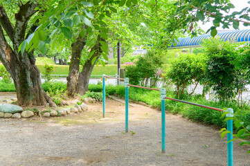 Fototapeta na wymiar 夏の公園　素材イメージ