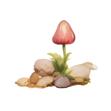 watercolor red mushroom on rocks clip art preview