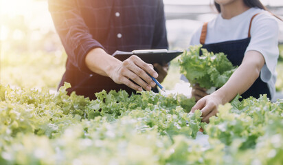 Farmer man and woman using laptop examing quality at vegetable hydroponic at greenhouse. Concept of...