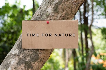 Cardboard from boxes cover with texts ' Time for nature', was sticked on tree bark to call out all people to care about and to beat the pollution from plastic.