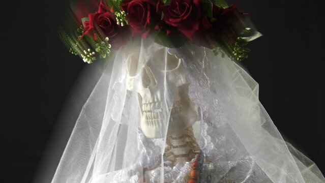 Dead bride is alive at Mexico carnival