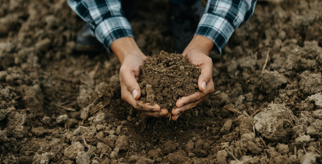 Oldman farmer holding soil in cupped hands.