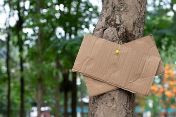 Tree trunk which has blank wordcard board sticked on the bark, concept for environment study, nature study, calling out all people to care about trees around the world and world environment day.